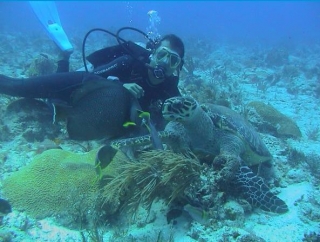 Buceo en el caribe mexicano